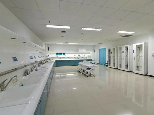 技術(shù)、服務(wù)、設(shè)備與環(huán)境 構(gòu)建完善的綜合技術(shù)服務(wù)生態(tài)